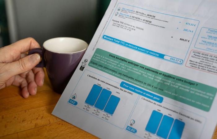 Gas price, social assistance, gray card … which changes this May 1st