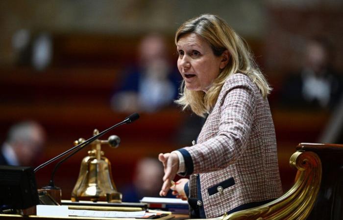 Murder in a Gard mockery: “The families of the victims do not wait for the tears of crocodiles of parliamentarians”, denounces Isabelle Saporta