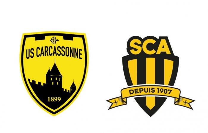 Rugby at XV quarter -final US Carcassonne / Sporting Club Albigeois – Carcassonne