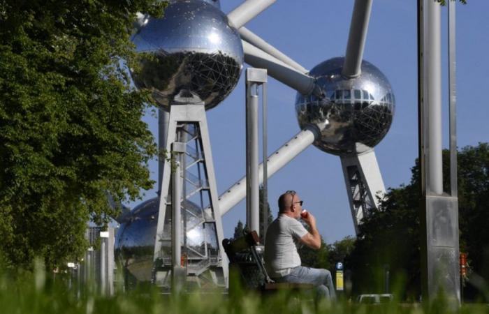 Up to 29 degrees expected this Thursday: Orange code activated for risk of fire in Flanders