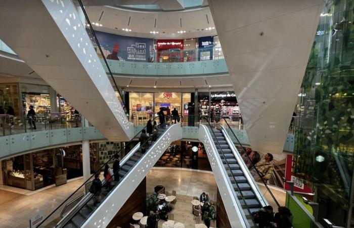 1st-May in Lyon. Shopping centers, TCL, museums, bakeries: closed or open?