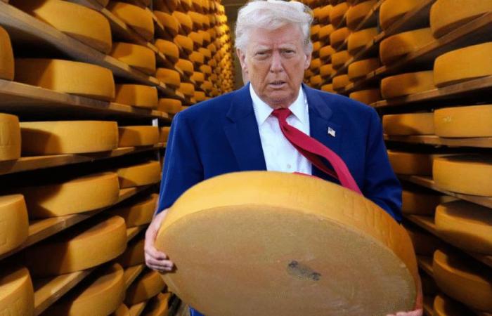 Trump’s customs taxes are undermining Swiss cheese