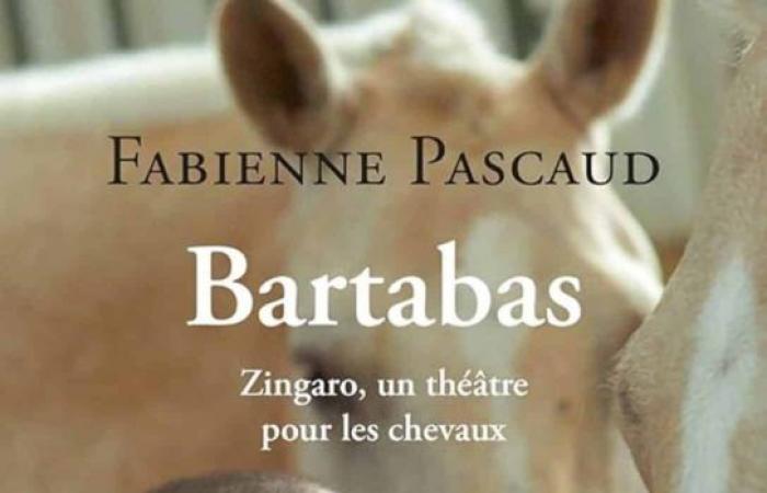 Book of the month: Bartabas, Zingaro, a theater for horses