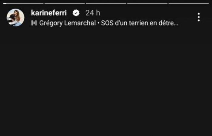 Death of Grégory Lemarchal: the overwhelming homage of Lucie Bernardoni