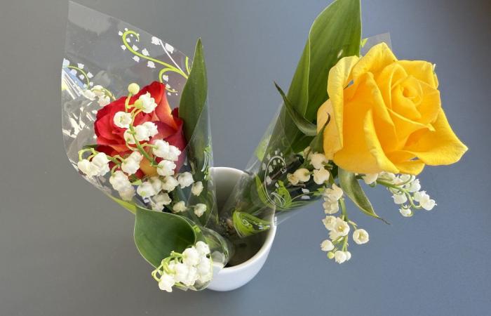 Le Creusot: May 1 with lily of the valley