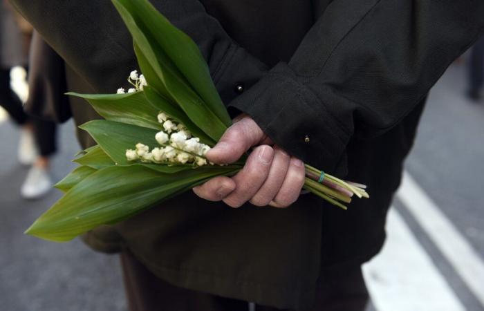 Why do we offer a touch of lily of the lily of the labor?