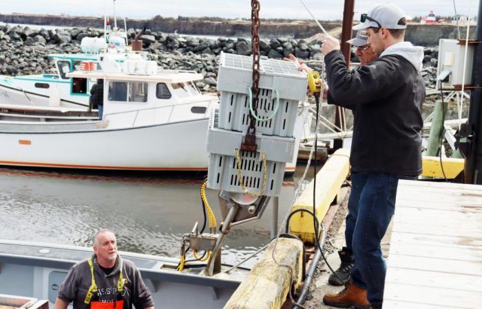 The UPM is concerned about the prices offered to fishermen for lobster