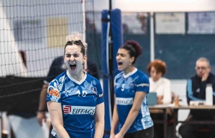 Volley – Nationale 2F: Last bouquet for Pau flowers against Mérignac