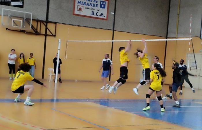 Mirande. 90 players gathered for the 17th Volleyball Gers Cup of the Gers Rural Home