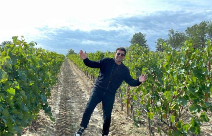 French stars who have invested in a wine sector