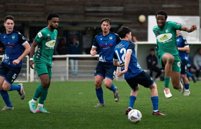 The Azay-Cheillé reserve falls against the White, a leader still undefeated