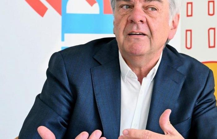 Romain Wolff: “Mount the public sector against the private sector for our company”
