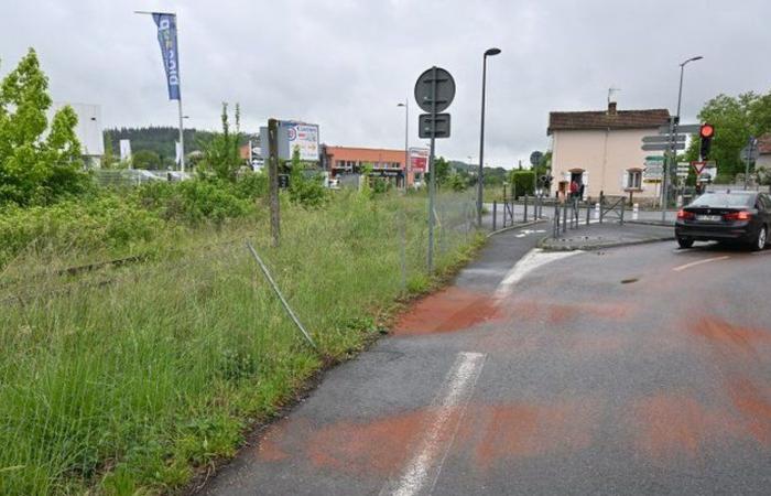 Machette murder in front of an Albi disco: four individuals arrested and placed in police custody