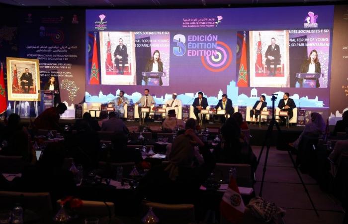 Young socialist and social democratic parliamentarians express their support for the territorial integrity of Morocco
