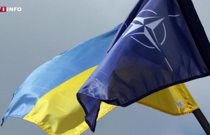 Romania: “We see sink a kind of pro-Russian nail in the center of Europe,” said vice-admiral Olhagaray