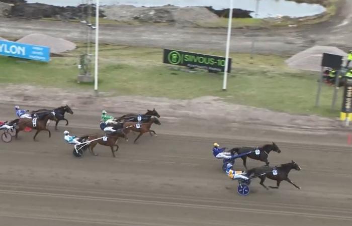 Sunday in Vermo – Finlandia -Ajo (Gr. I): Mellby Jinx Sacré
