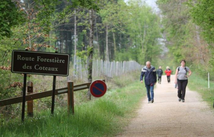Walking, a good practice for the heart