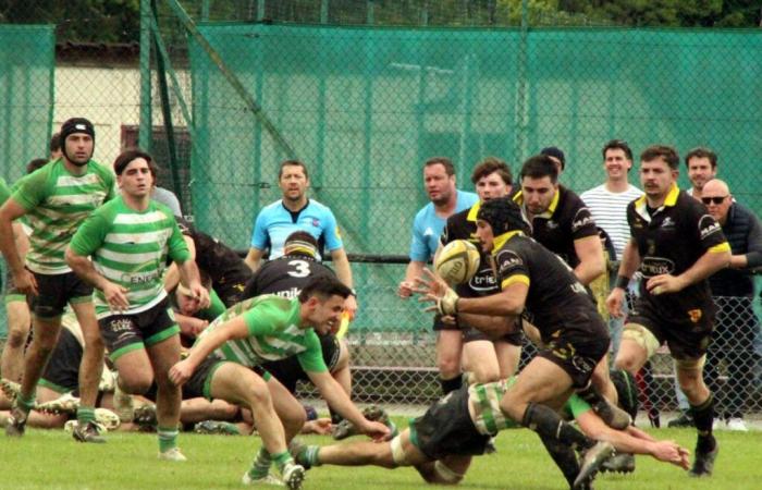 Rugby – Federal 3: Bizanos reflected in Larressore