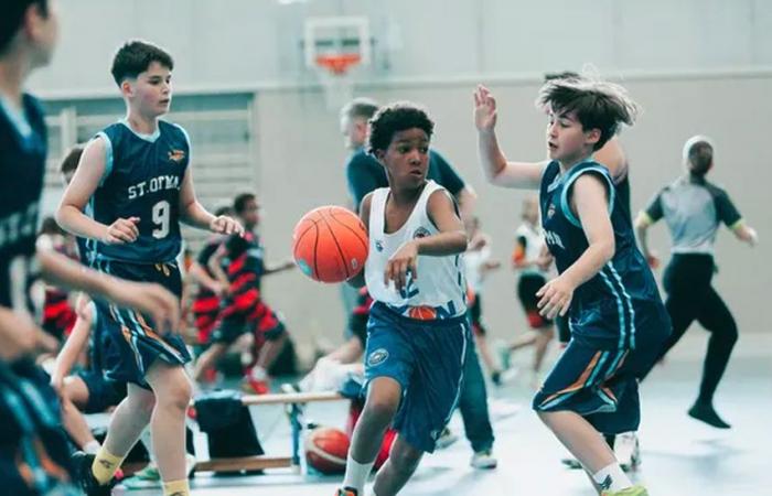 Swiss Basketball wants to set up in German -speaking Switzerland