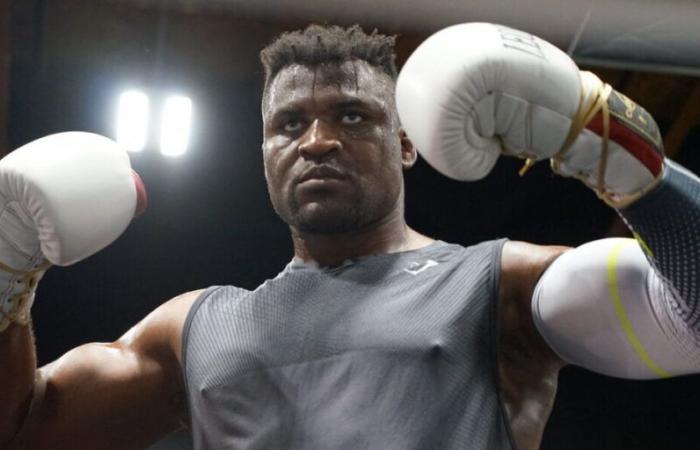“My heart is broken”: the confidences of the fighter of MMA Francis Ngannou, involved in an accident that cost the life of a 17 -year -old girl
