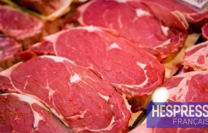 Morocco opens its market to Brazilian organizing