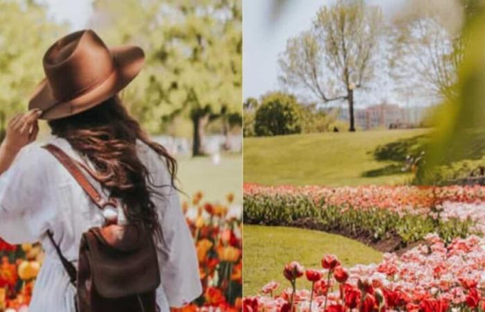 This huge tulip festival is the perfect reason to make a roadtrip in Ottawa