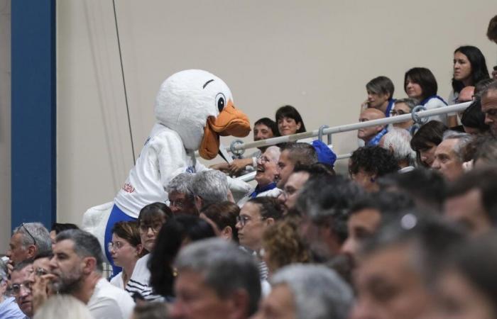 The echoes of the Victory of Basket Landes