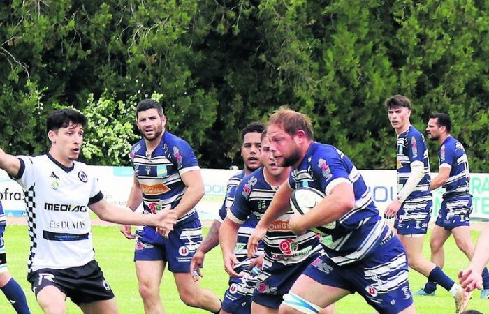 Rugby (32nd final return of Federal 3). Caussade always in the race for the climb