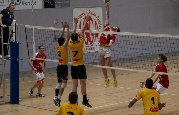 Volleyball. La Chapelle-Saint-Aubain bowed with the honors in Fleury-les-Aubrais. Sport