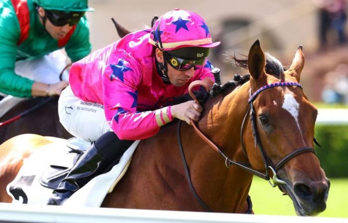 Sunday May 4, 2025 in Longchamp (Gr.III): Arrow Eagle is triggered