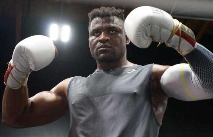 The confidences of the fighter of MMA Francis Ngannou, involved in an accident that cost the life of a 17 -year -old girl