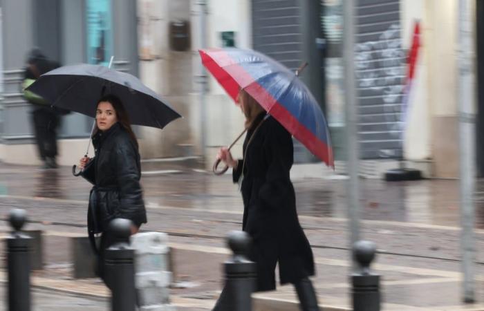What is the “Thalweg”, which made us lose 10 degrees in 24 hours and who announces a sullen Monday?