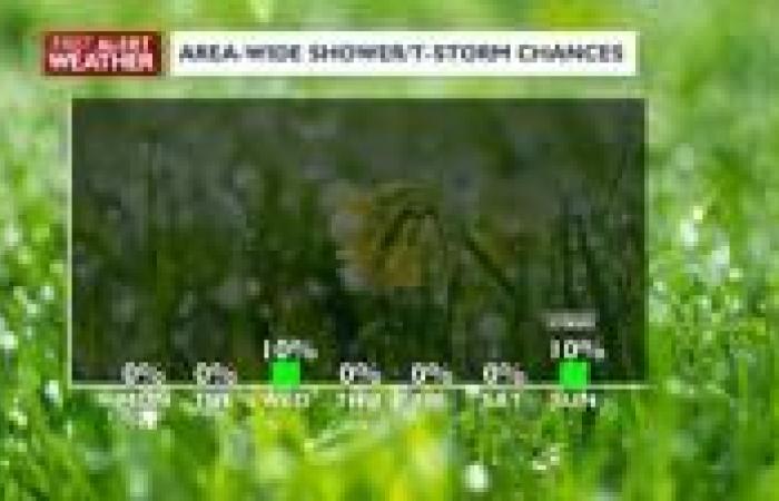 Sunny, seasonal, & breezy for Cinco de Mayo | News