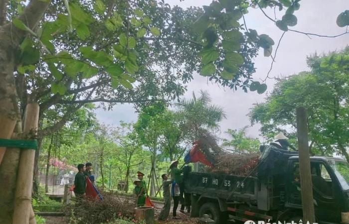 Nam Dan strengthens the prevention of forest fires on historic sites
