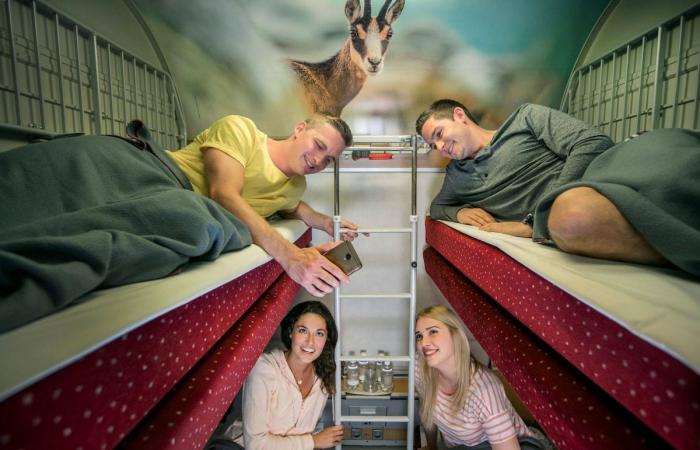 Car, train, plane or bus? Here is the best way to go on vacation this summer (comparison)