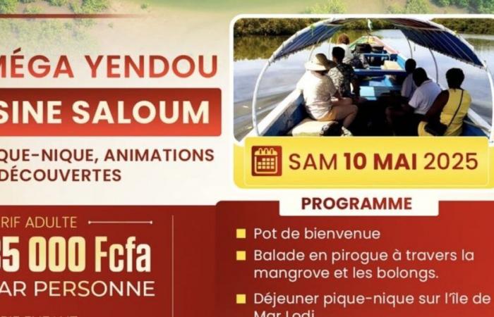 Mega Yendou at Sine Saloum – Nature escape