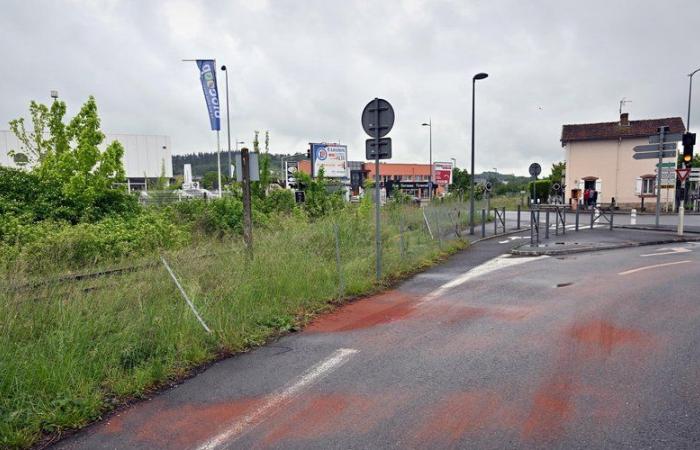 Murder at the machete in Albi: “gas” in the disco, hospitalized suspect, unidentified victim … what is known about the current investigation