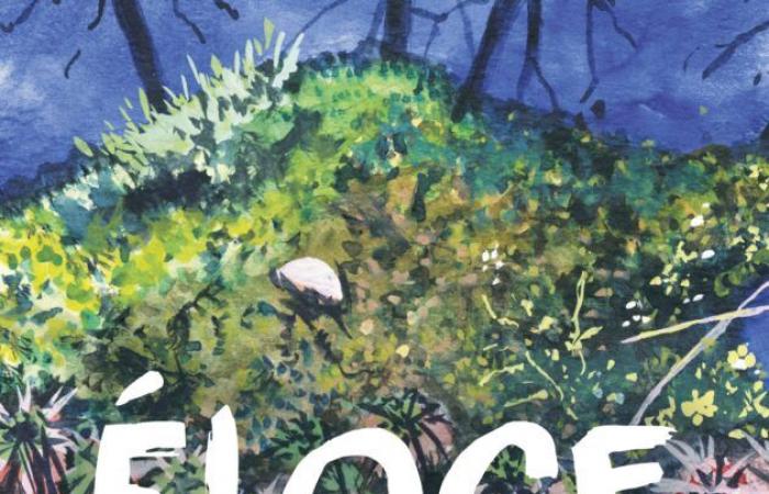 Praise of foams – Tela Botanica