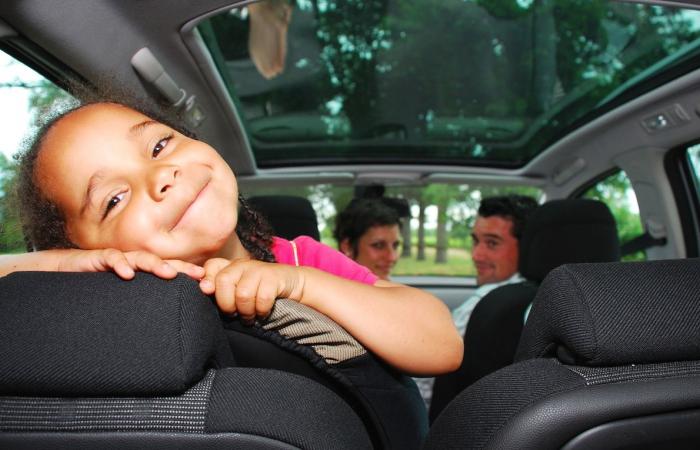 Car, train, plane or bus? Here is the best way to go on vacation this summer (comparison)