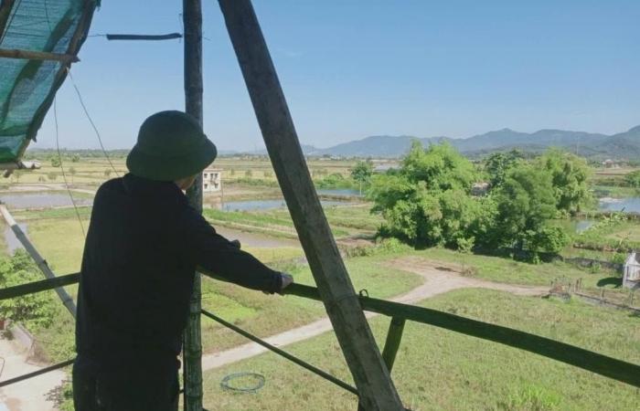 Nam Dan strengthens the prevention of forest fires on historic sites