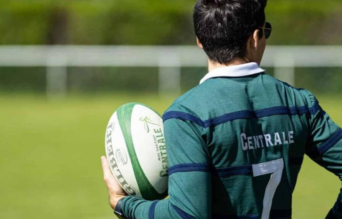 Essonne: students celebrate 20 years of their rugby tournament at 7
