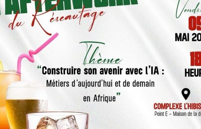 The networking of networking – in Senegal, the heart of Senegal