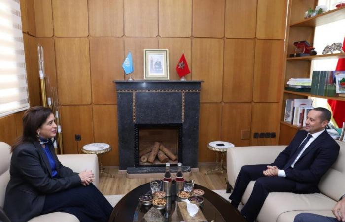 Morocco reaffirms its regional health role to the WHO during a bilateral interview