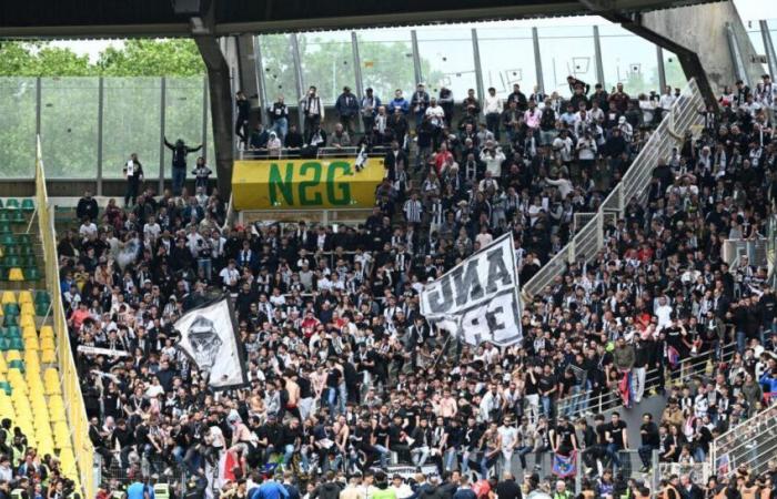 Angers: a young SCO supporter files a complaint for sexual assault at La Beaujoire