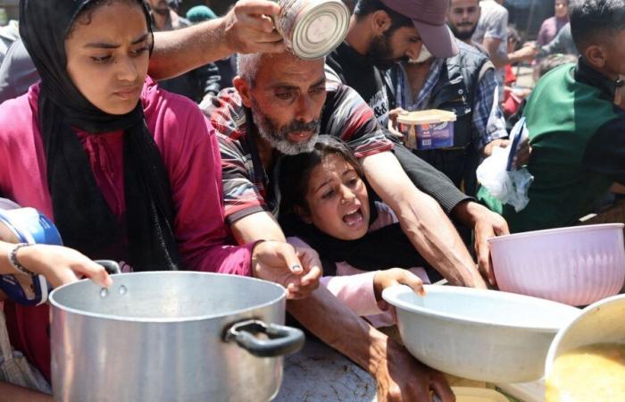 War ISRäel – Gaza: Belgium requests the entry of humanitarian aid in Gaza before the International Court of Justice