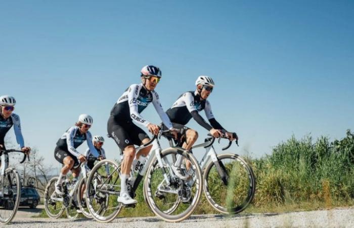 Giro. Tour of Italy – The Q36.5 PRO CYCLING with its superstar TOM PIDCOCK!