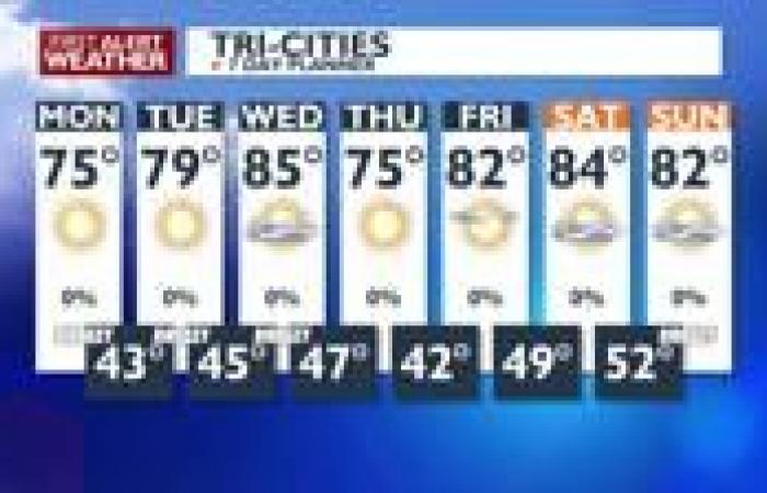 Sunny, seasonal, & breezy for Cinco de Mayo | News
