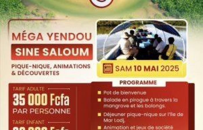 Mega Yendou at Sine Saloum – Nature escape