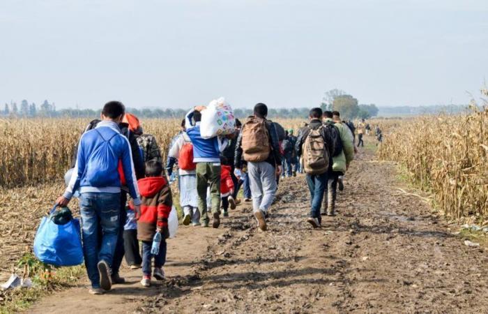 After the fall of Assad, asylum requests at the lowest in the European Union