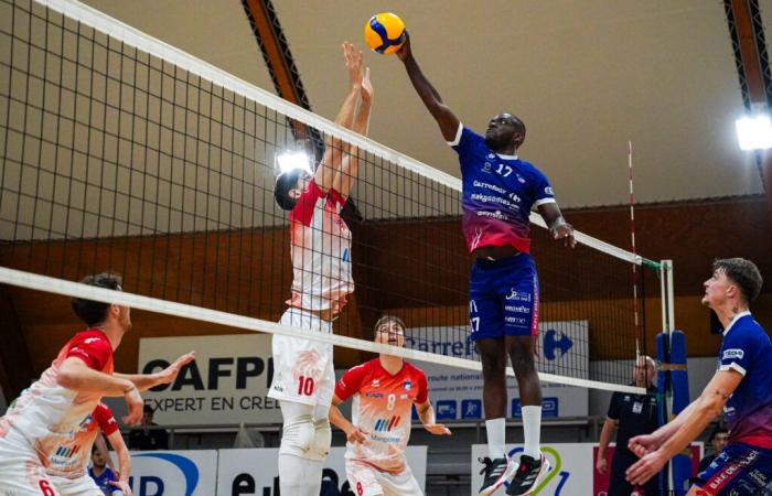 Volleyball (elite)-Ali Nouaour: “The contract is completed, we recover first place, we are maintained”